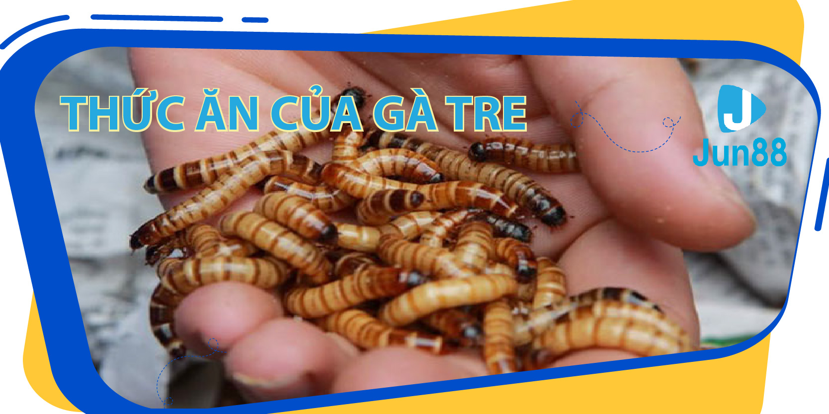 vn88pro máy tính casino online