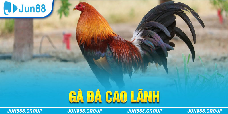 vn88pro xổ số đài miền trung