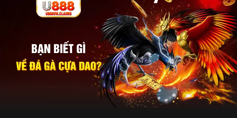 vn88pro quay thử xổ số miền nam