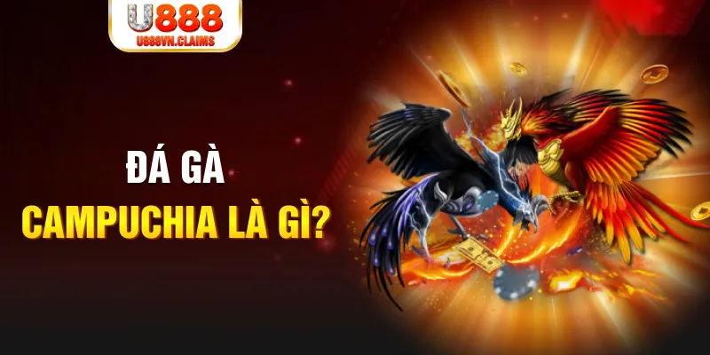 vn88pro what is a casino loyalty program