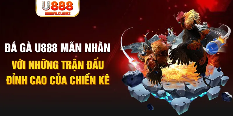 vn88pro R88 Game Bài 3d