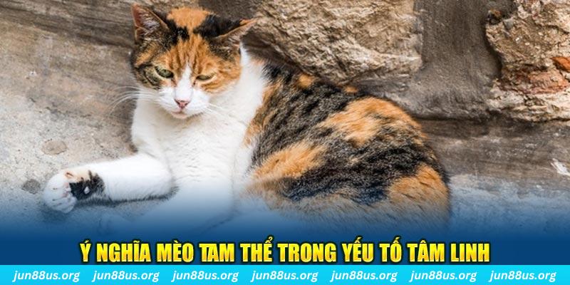 vn88pro gà chọi hoà phong