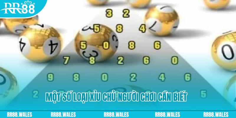 vn88pro đăng nhập nổ hũ trực tiếp
