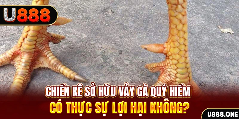 vn88pro nổ hủ là trò gì