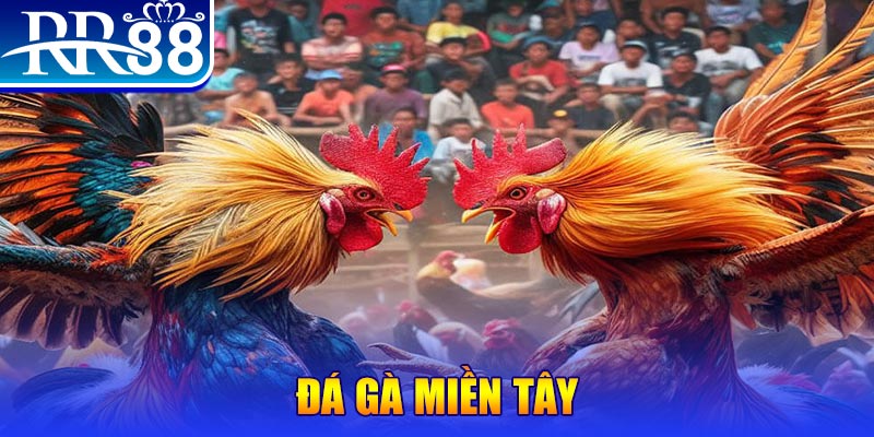 vn88pro đăng nhập phỏm dễ thắng