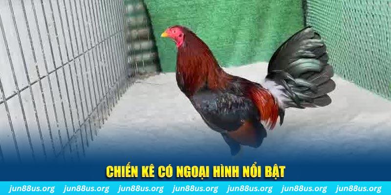 vn88pro Bữa tiệc dành cho thanh thiếu niên 20-20