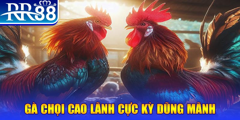 vn88pro JILI Game Bài 3d